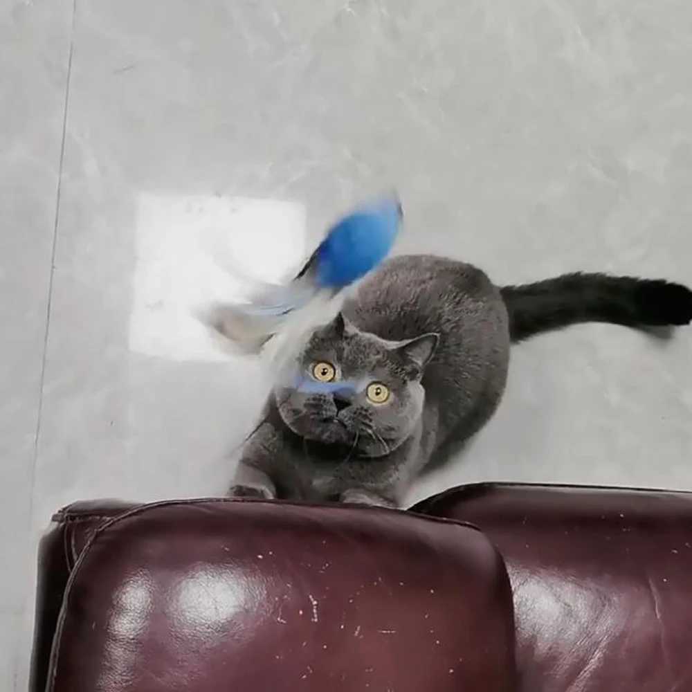 2pcs Replacement Head for Cat Teaser Funny Cat Stick Toy Rod Feather Bird Pet Toy Supplies S251029