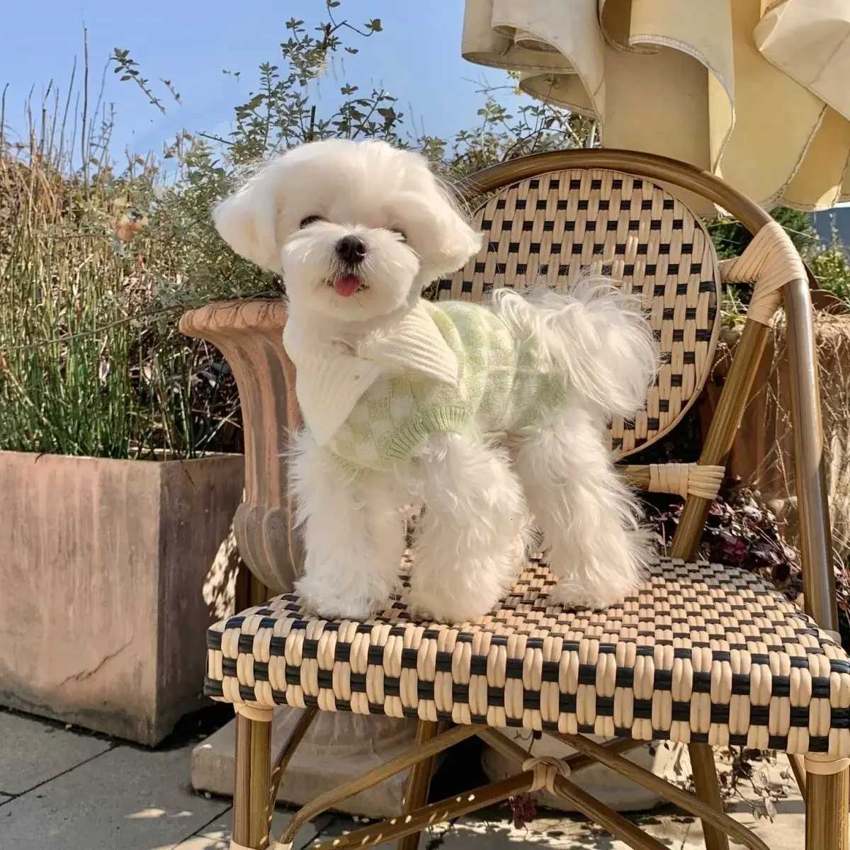 INS Pet Checkerboard Sweater Lapel Dog Cat Cashmere Sweater Cute Dog Sweater Puppy Clothes Dog Clothes for Large Dogs Pet Items C251030