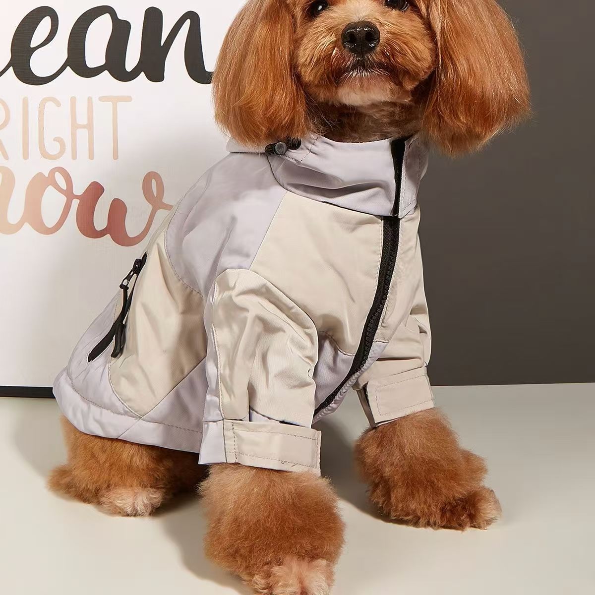 2025 new New Pet Supplies Jacket Autumn And Waterproof Raincoat Teddy Fashion Brand Designer Clothing Winter Warm Dog Clothes