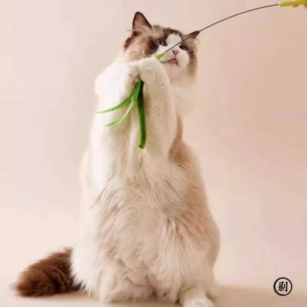 36pcs Cat Interactive Toy Tail Grass Cats Sage Feather Toy Long Pole Kitten Teasing Stick Bite Resistant Sound Toy Cat Supplies S251029