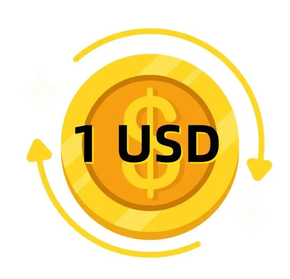 ZZ-YD VIP Exclusive Payment Portal Orders Balance Top-Up & Express Shipping