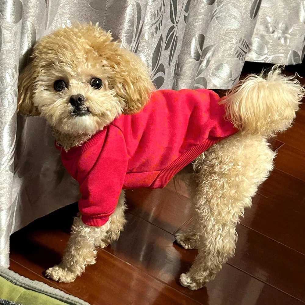 ic Pinscher Dog Hoodies with Buckle Autumn Fleece Pet Clothes for Small Dogs Poodle Chihuahua Cat Sweater mascotas Clothing C251030
