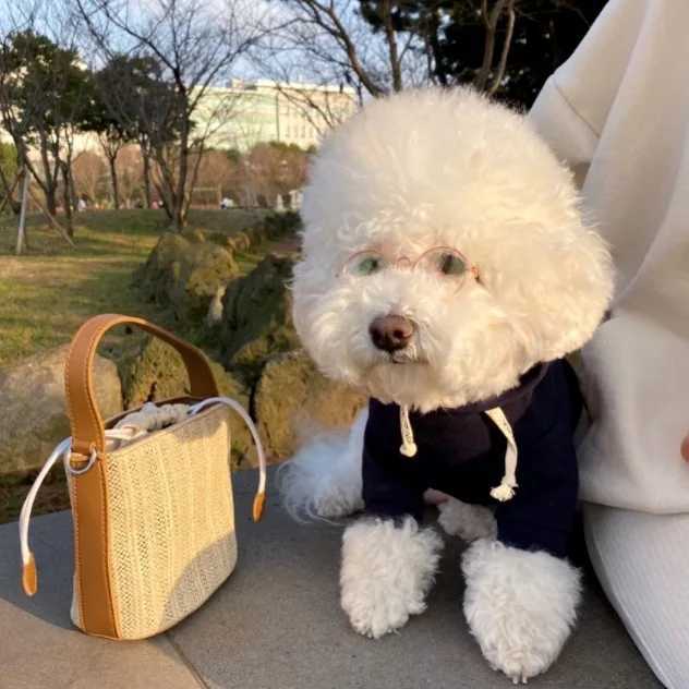 Ins Winter Fashion Hooded Dog Hoodie Warm Dog Cat Foot Coat Solid Cotton Top Fashion Luxury Design puppy Clothes for Large Dog C251030