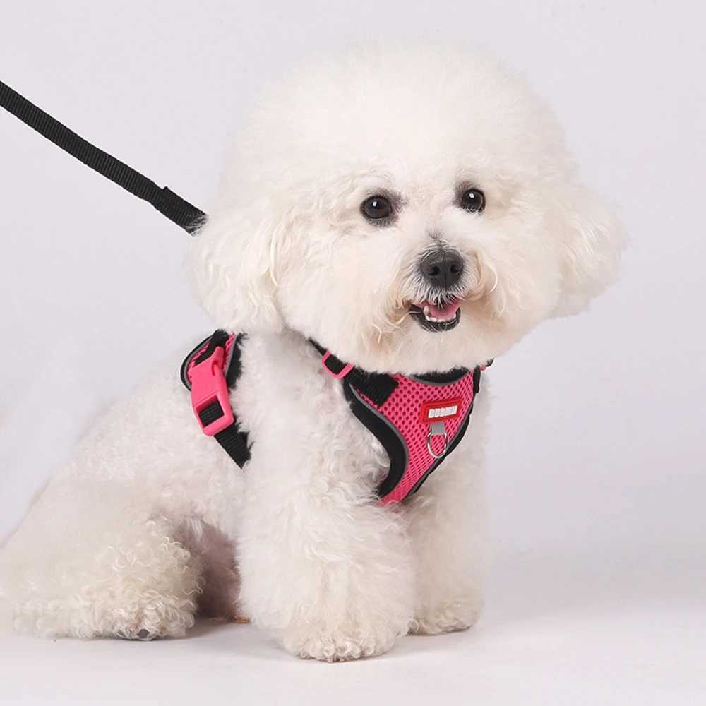 Fashion Pet Harness and Leash Set for Small Dogs Summer Breathable Puppy Dog Vest Harnesses Pinscher Chihuahua mascotas Supplies J251129
