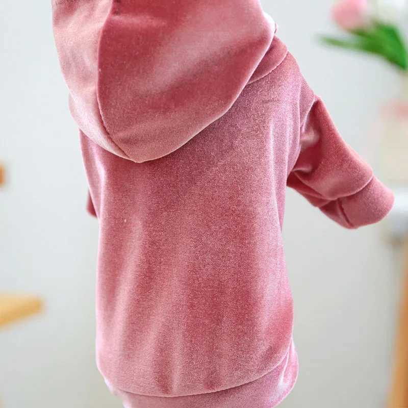 Fashion Velvet Hooded Hoodies Sweatshirt For Dog Pink Gray Blue Pet Clothes for Small Dogs Pomeranian Dog Outfits Puppy et C251030