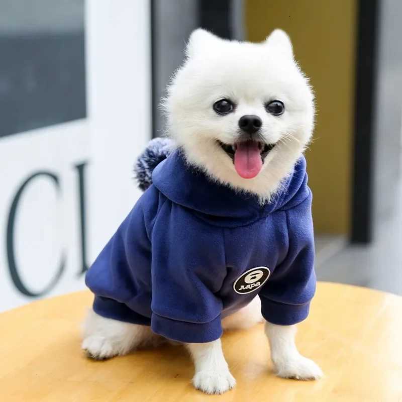 Autumn and Winter Hooded Dog Hoodie New Gold Velvet Thickened Warm Pet Cat Fighting Clothes Pet Accessories C251030