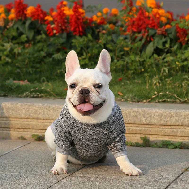 Warm Winter Dog Clothes French Bulldog Sweatshirt Pet Pullover C251030