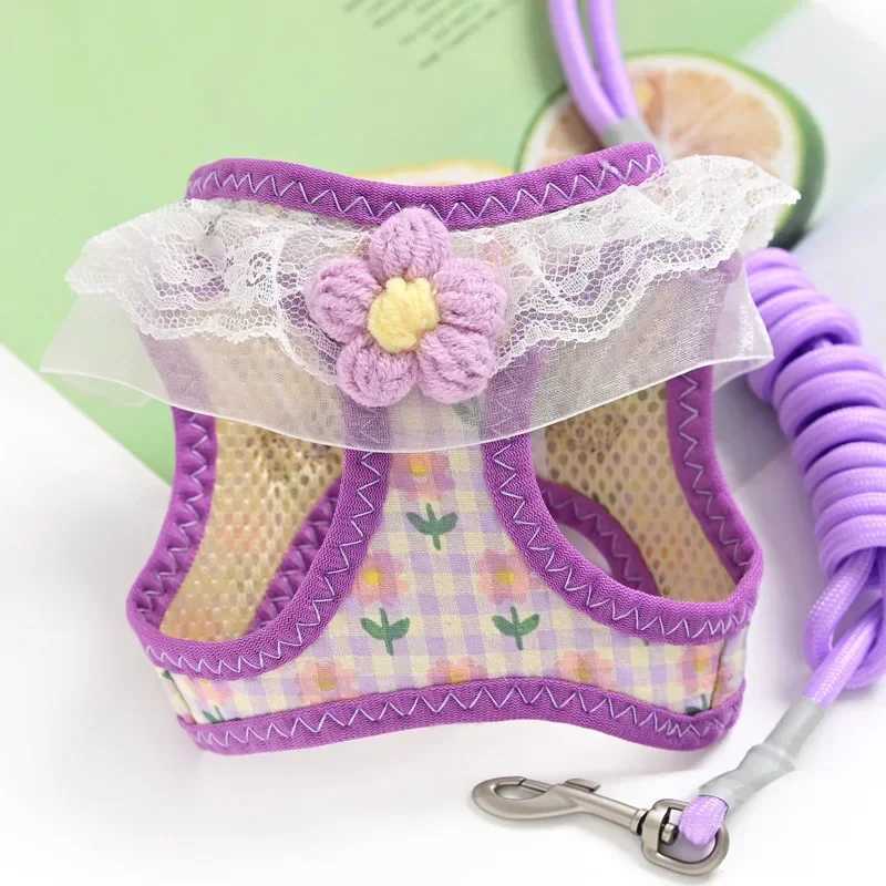 Princess style pet cat small dog leash vest type out chest strap antibreak free crossborder J251129