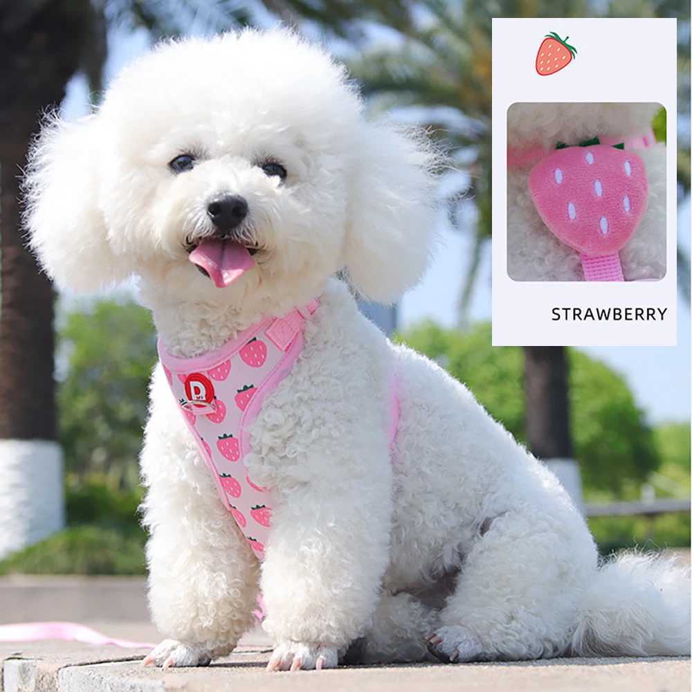 Cute Fruit Dog Cat Harness Leash Set Adjustable Soft Puppy Kitten Walking Gear Breathable Summer Outdoor Accessories for Smal J251129