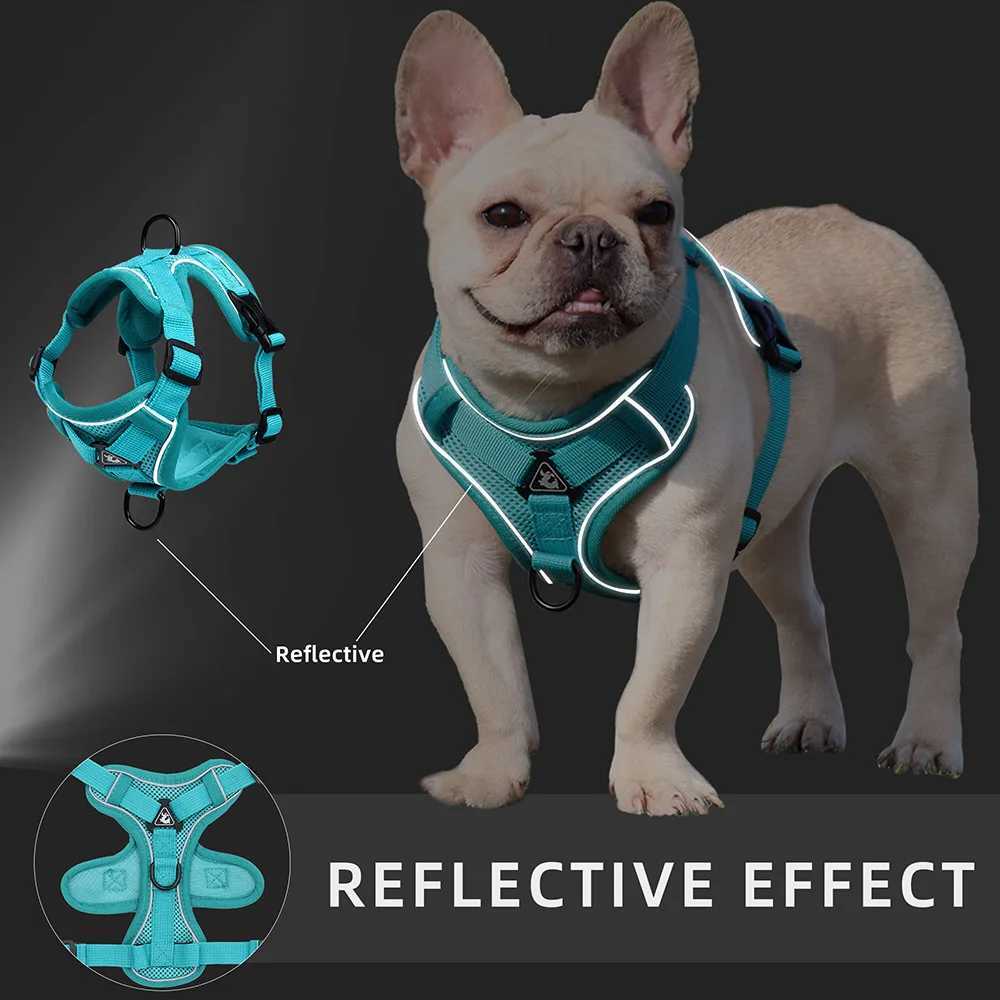 Dog Harness Cat Leashes Collar Bulldog Straps Small Medium Dog Puppy Harnesses Bichon Frise Vest Garlden Reflective Pet Supplies J251129