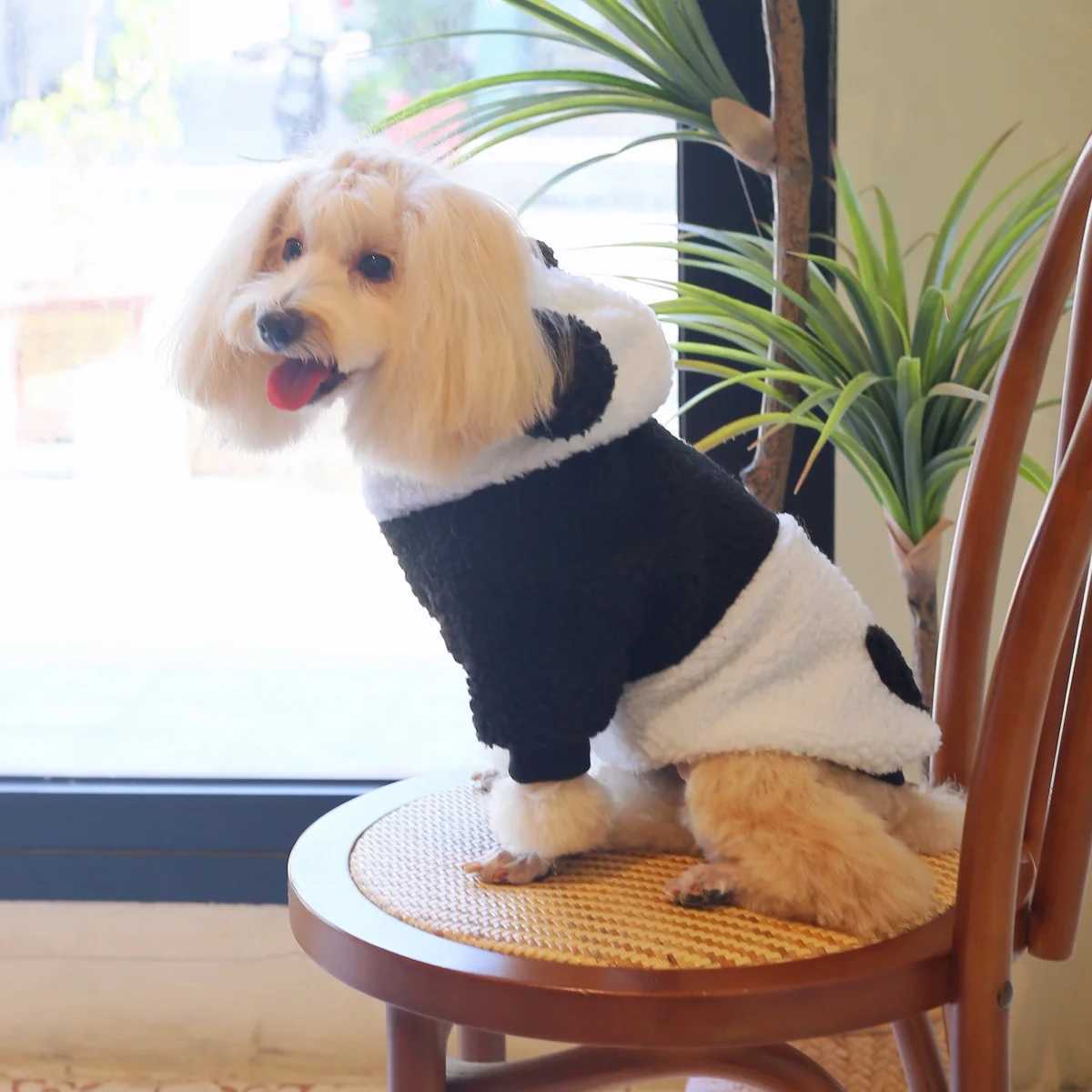 386A Cozy and Comfortable Panda Hoodie Featuring a Black and White Patchwork Design Made of Lambskin Material C251030