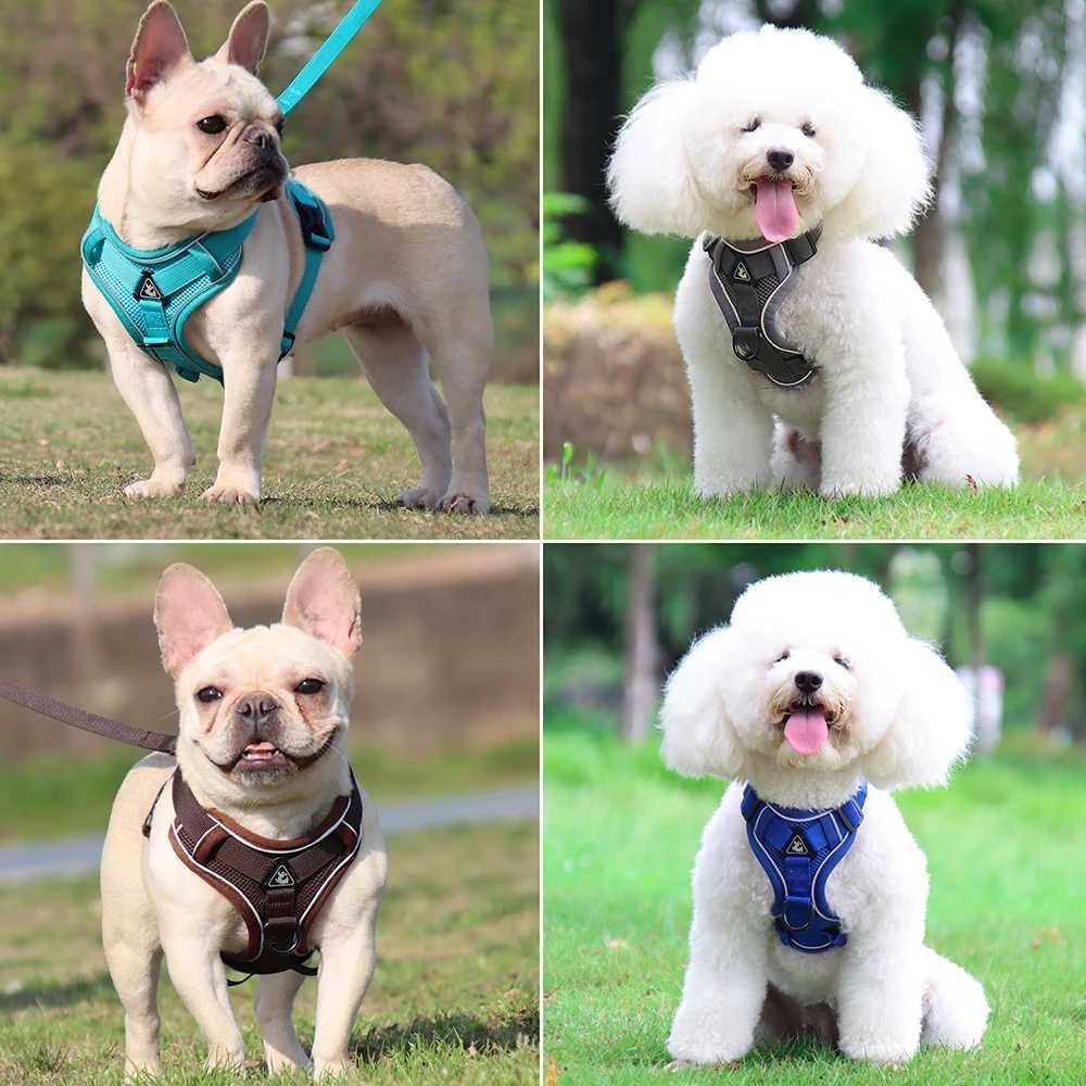 Dog Harness Cat Leashes Collar Bulldog Straps Small Medium Dog Puppy Harnesses Bichon Frise Vest Garlden Reflective Pet Supplies J251129