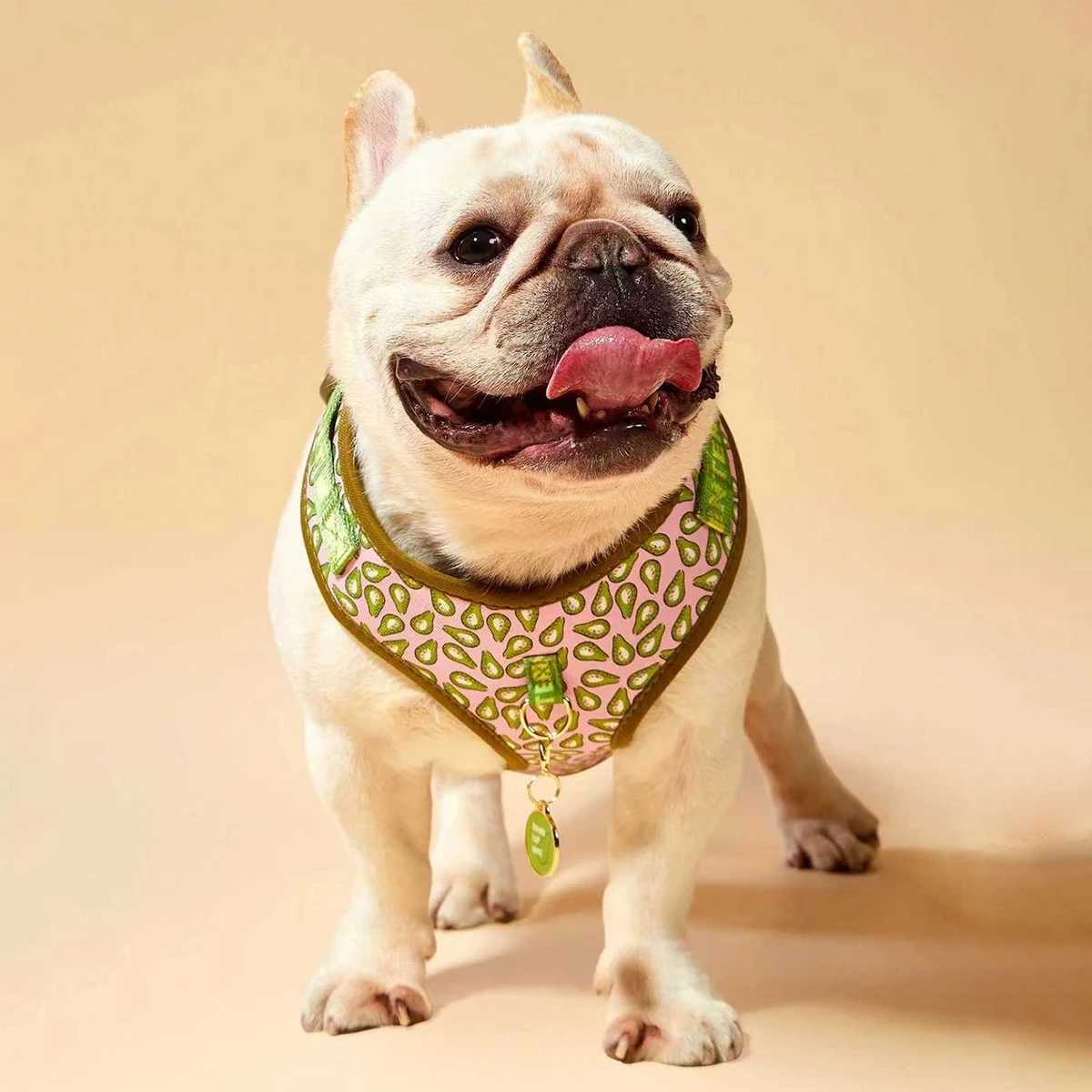 Valentines Day and New Years gift Luxury Design Adjustable Fashion Print Pet Harness1Pcs Color Matching ID Tag Free Send J251129