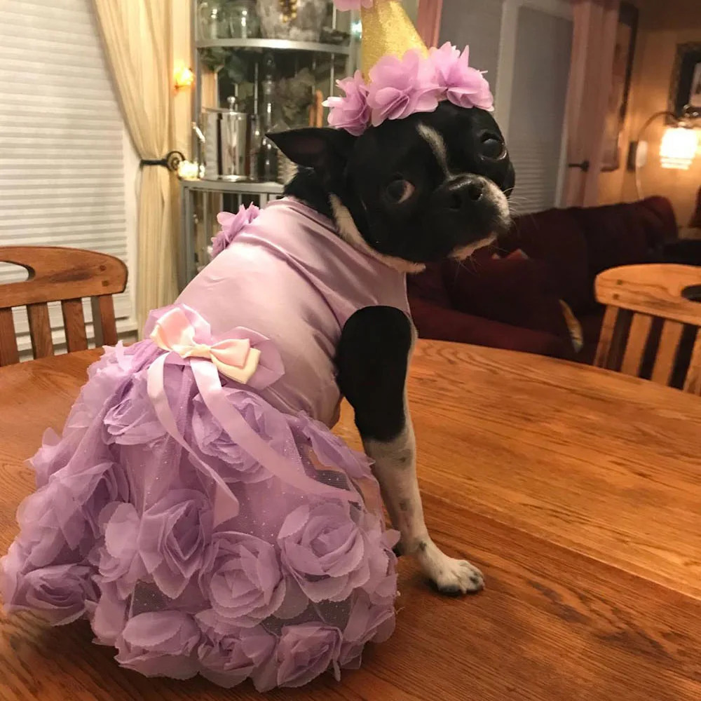 Small Dog Cat Dress Puppy Pet Tutu Skirt Cat Clothes Princess Skirt Dog Cat Wedding Evening Dress with Rose Pearl Bowknot 251029