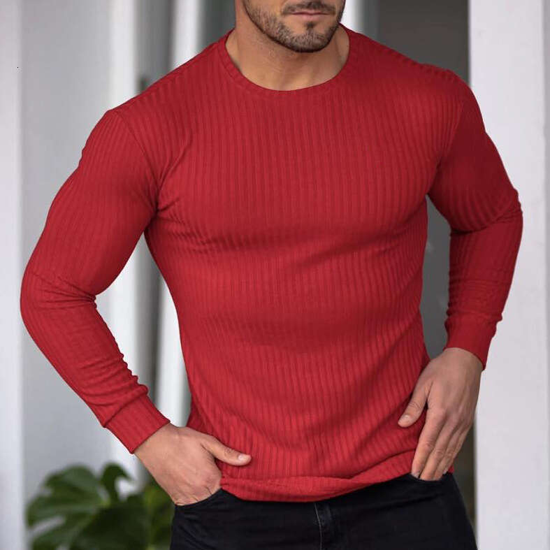 Men's Autumn Sports Fitness Casual Stand Collar Stretch Vertical Stripe Round Neck Long Sleeve T-Shirt