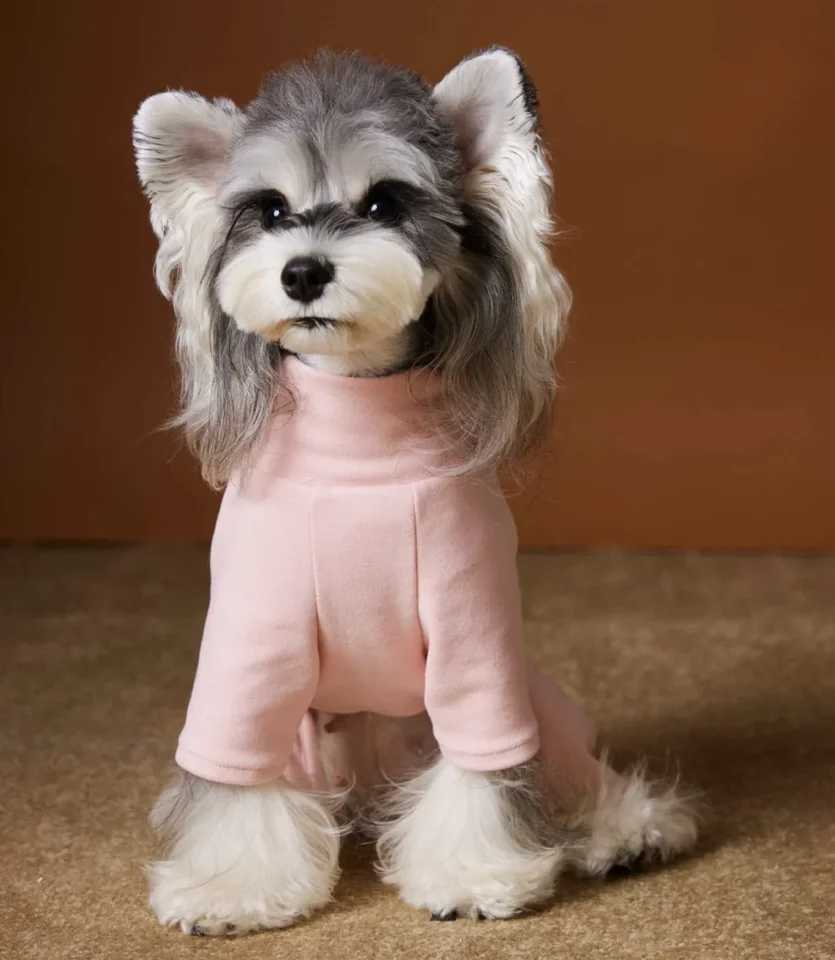 Winter Warm Fleece Dog Pajamas Elastic Four Legs Clothes for Small to Large Dogs Cozy Elasticity Sleepwear in Cold Weather C251030
