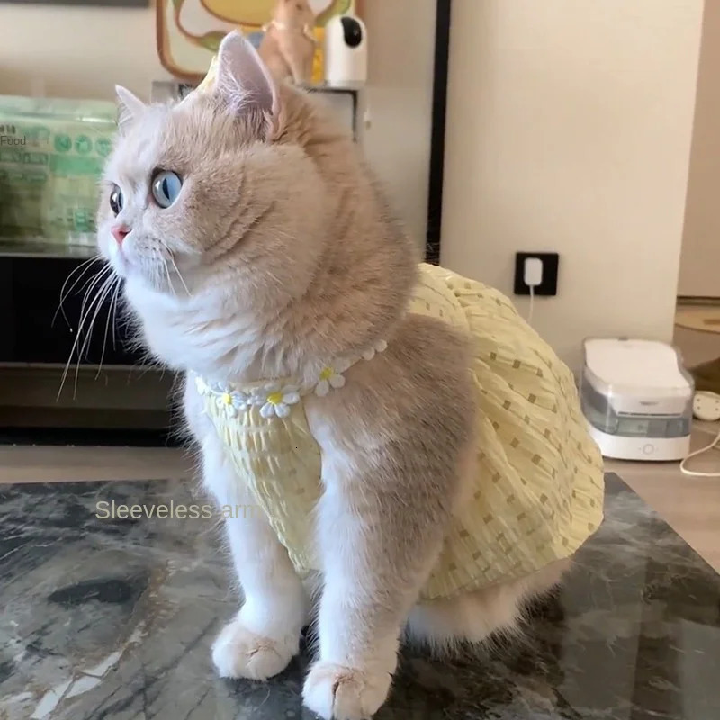 Cat Clothes Kitten Dress Spring Summer AntiShedding Pet Dresses Golden Shaded Devon Ragdoll Thin Cute Dog 251029