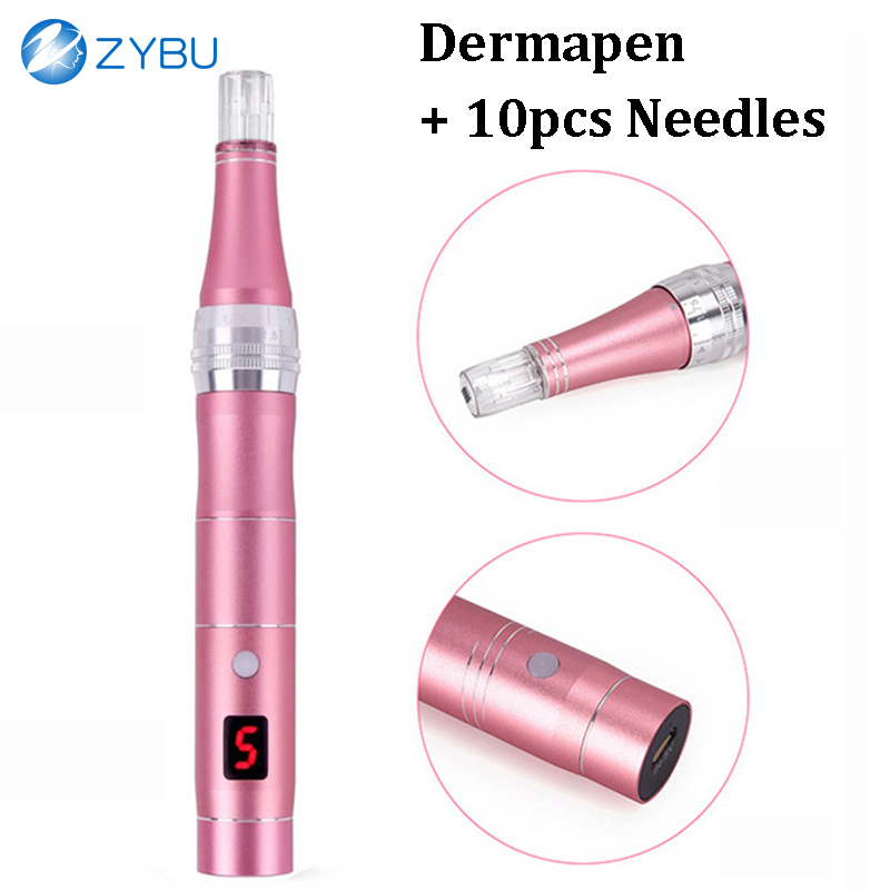 Professional Microneedling Wireless DermaPen MTS Derma Pen Kit With Needles Cartridges 10pcs For Face Skin Care Mesotherapy