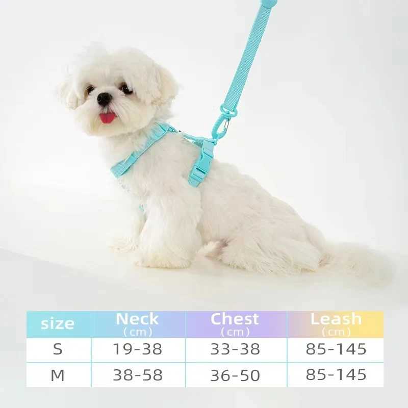 Adjustable Dog Harness Collar Leash Set Macarone Color Reflective Small Dog Accessories for Puppy Cat Supplies Pet Walking J251129