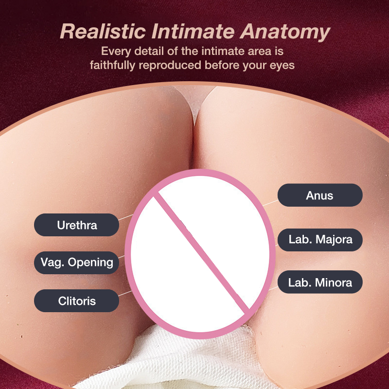 Regina Full-Size Hip Sex Doll - Ultimate Solo Experience with Lifelike TPE Butt & Realistic Weight M-22034