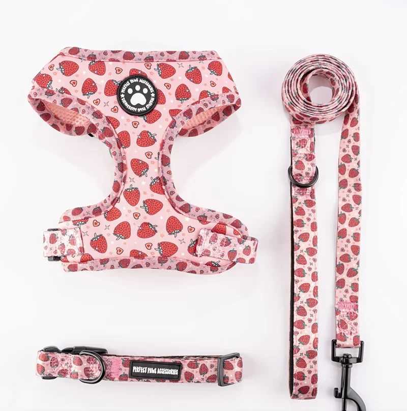 Dog Harness and Leash SetIncludes dog collar and leashdog accessories for small dogs Chihuahua Teddy Bear French Bulldog J251129