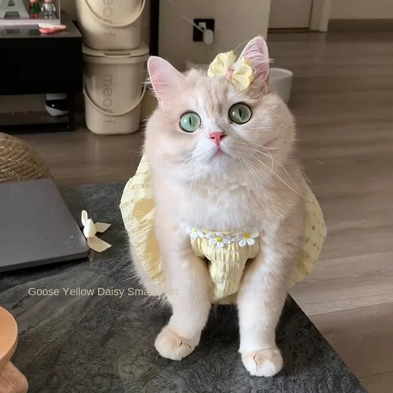 Cat Clothes Kitten Dress Spring Summer AntiShedding Pet Dresses Golden Shaded Devon Ragdoll Thin Cute Dog 251029