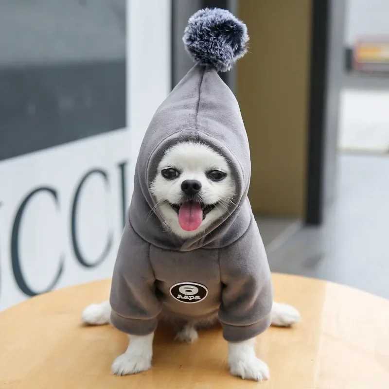 Autumn and Winter Hooded Dog Hoodie New Gold Velvet Thickened Warm Pet Cat Fighting Clothes Pet Accessories C251030