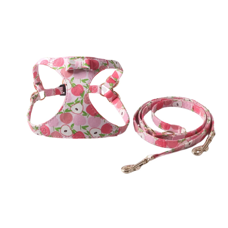 Cute Pattern Pet Harness Leash Set, Adjustable & Comfortable for Small Dogs, 3Styles(Peach,Kiwi,Duck), Fashionable Walking Accessories for Puppies B18