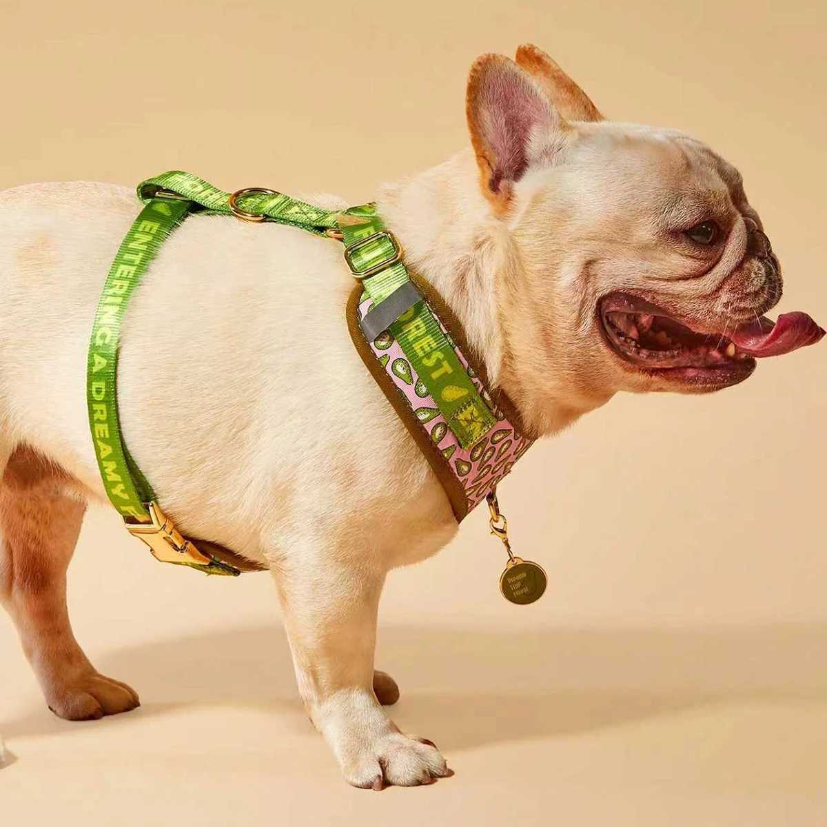 Valentines Day and New Years gift Luxury Design Adjustable Fashion Print Pet Harness1Pcs Color Matching ID Tag Free Send J251129