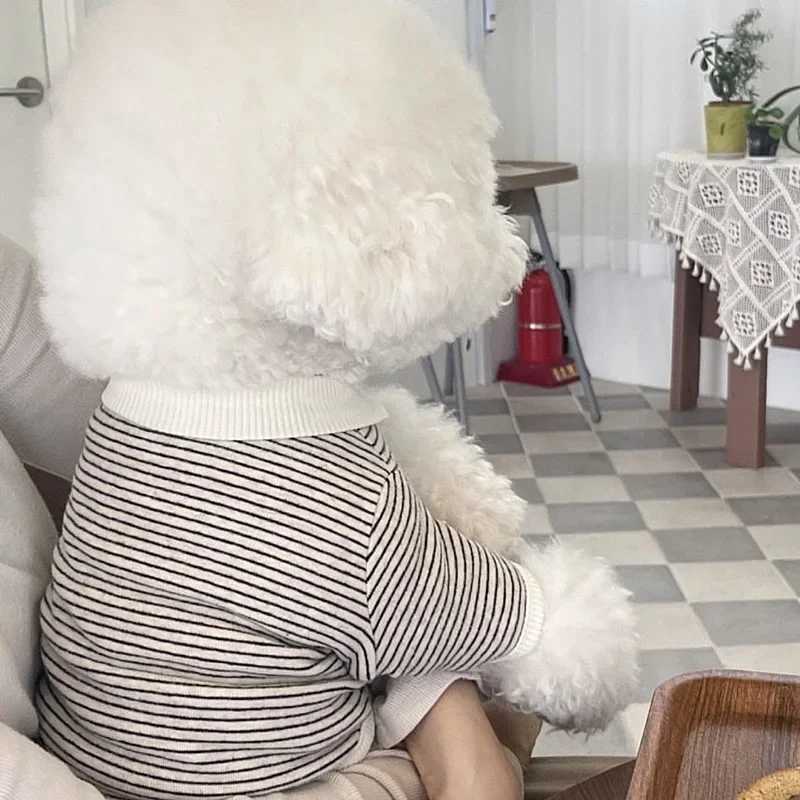 Fashion Pet Stripe Dog Clothes Autumn Pet Lapel Tshirt Teddy Warm Bottom Shirt Bichon Pomeranian Soft Puppy Two Legs Clothes C251030