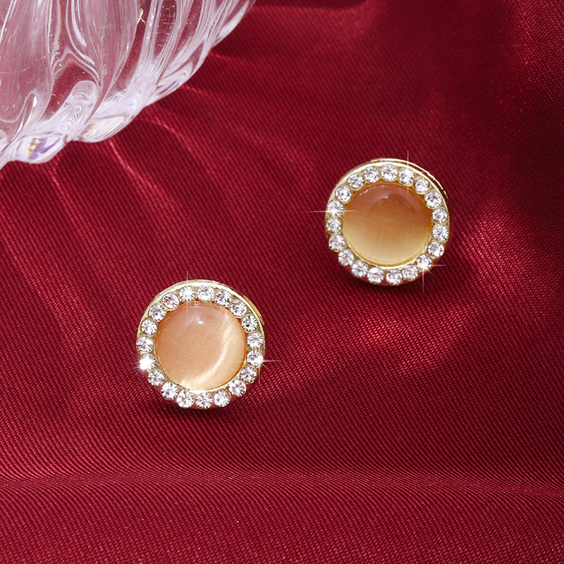 Luxury earrings Retro round earrings leopard print S925 silver needle premium minimalist gentle ear clip birthday gift to girls gold earrings