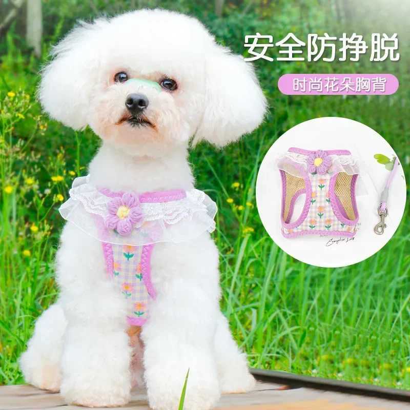 Princess style pet cat small dog leash vest type out chest strap antibreak free crossborder J251129