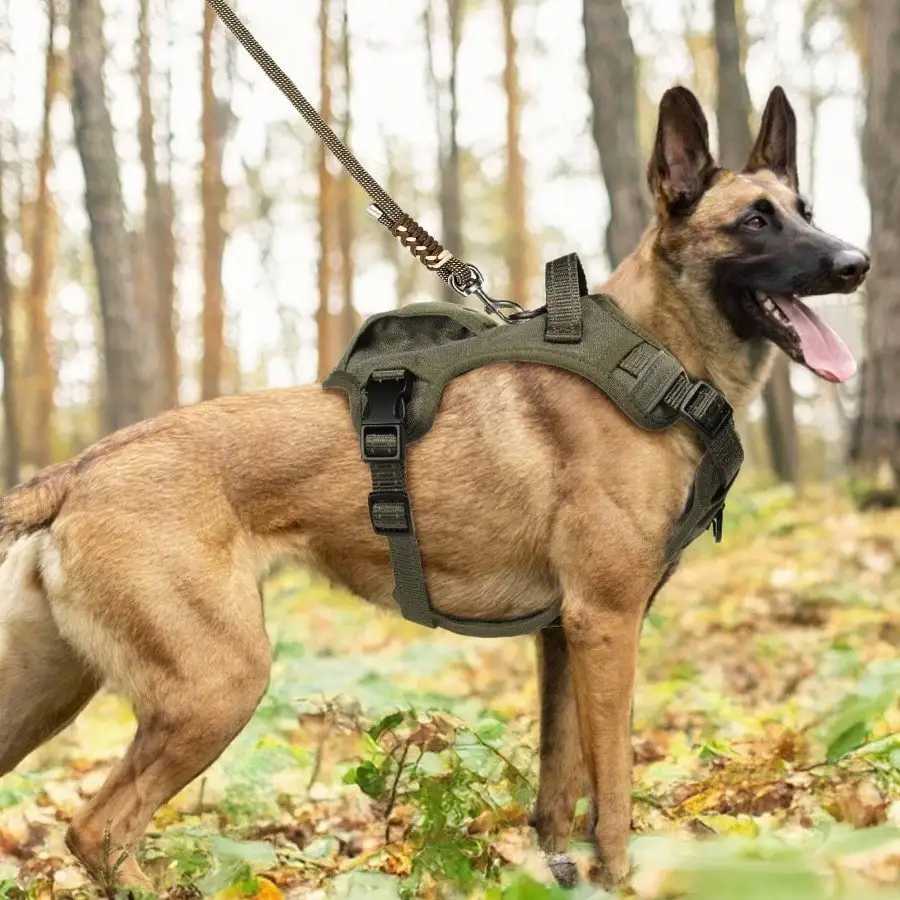 No Pull Dog Harness Medium Sized Dog Easy Walk Training Adjustable 0Reflective Dog Vest with Handle Metal Easy Control Green J251129