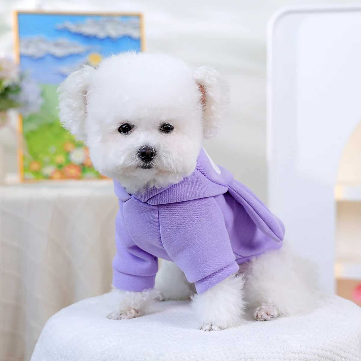 Dog Clothes Spring and Autumn Pullover Twolegged Clothes Small Dog Comfortable Sweater Cute Rabbit Winter Warm C251030