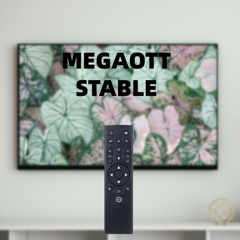 Smart TV Remote Controller For Firestick ME GA OTT Andorid TV box Abonnement With xxx Free trail