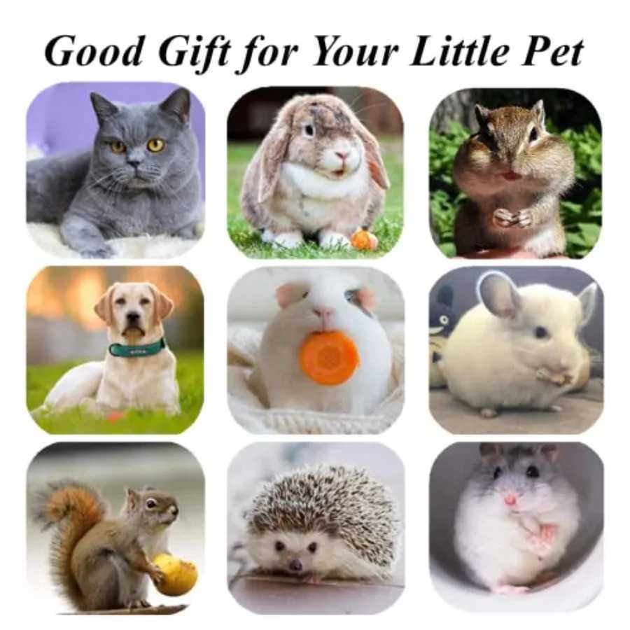 Cat Toys3PCS Kitten Toys for Indoor Cats Catnip Toy for Chewing Silvervine Stick for Cleaning Teeth Kitty Dental Treat Interact S251029{category}