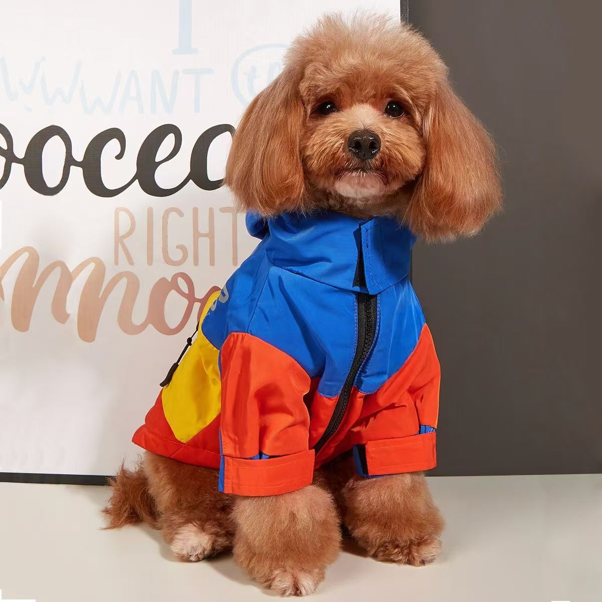 2025 new New Pet Supplies Jacket Autumn And Waterproof Raincoat Teddy Fashion Brand Designer Clothing Winter Warm Dog Clothes