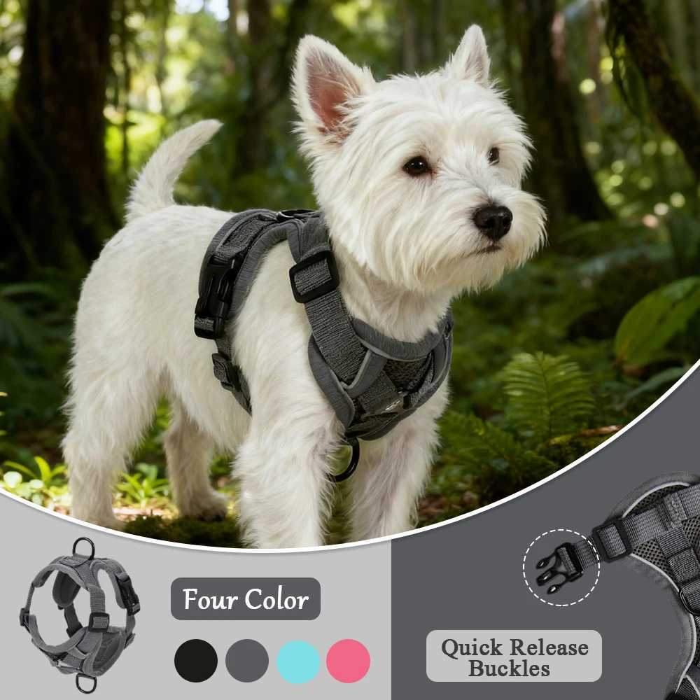 Pet Harness and Leash Set Reflective Walking Puppy Vest Chest Strap For Small Dogs Cats Breathable Outdoor Harnesses With DRing J251129