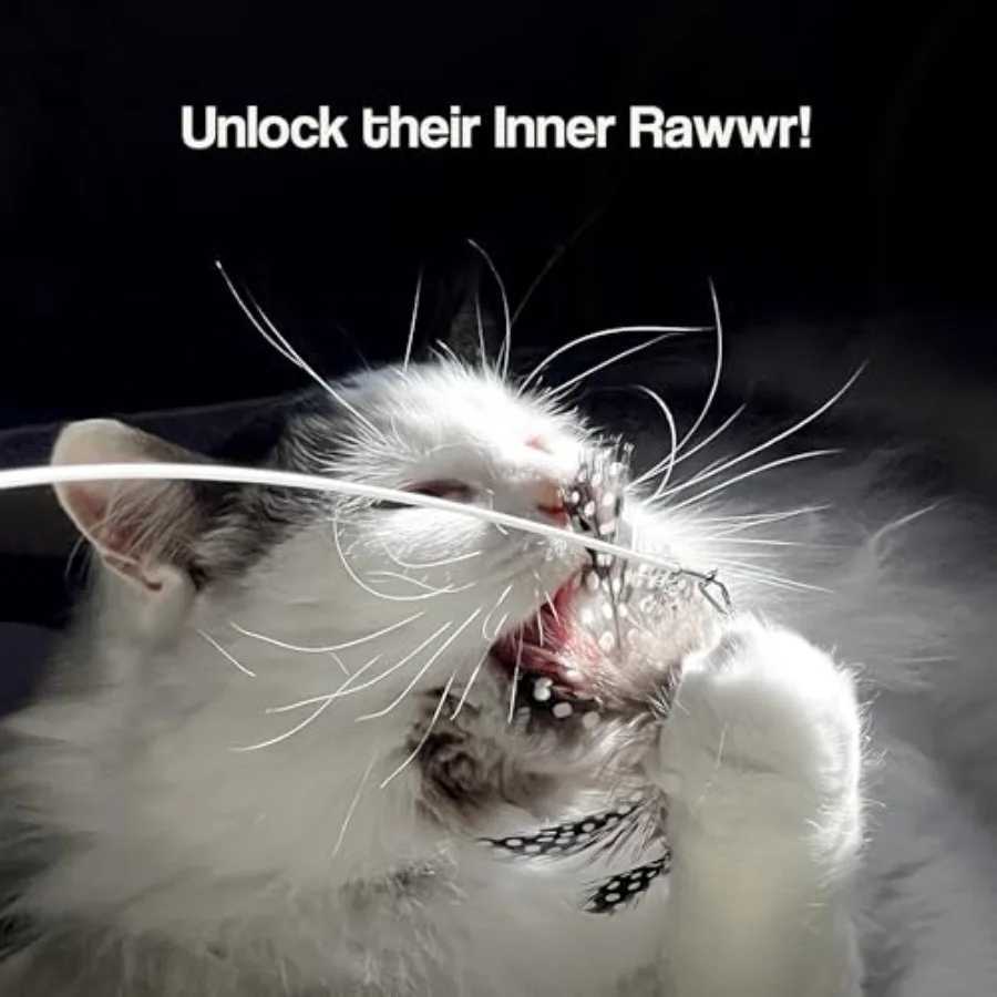 Cat Wand Toy Set 2 Feather Teaser Wands with 4 Interchangeable Refills 27 ible Wire Wooden Handle Interactive Play for Indoor C S251029{category}