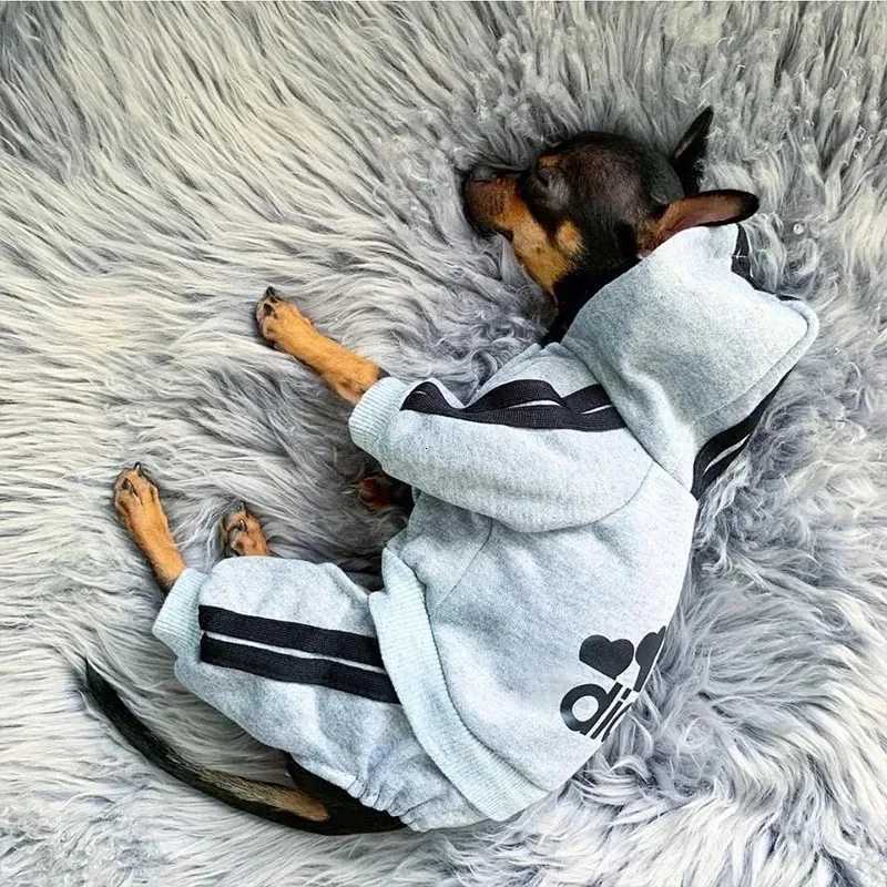 Winter Clothes for Small Dogs Sport Dog Hoodie Fleece Overalls for Small Breeds Dogs Letters Puppy Sweatshirt Dog Jumpsuit C251030