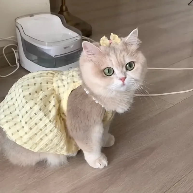 Cat Clothes Kitten Dress Spring Summer AntiShedding Pet Dresses Golden Shaded Devon Ragdoll Thin Cute Dog 251029