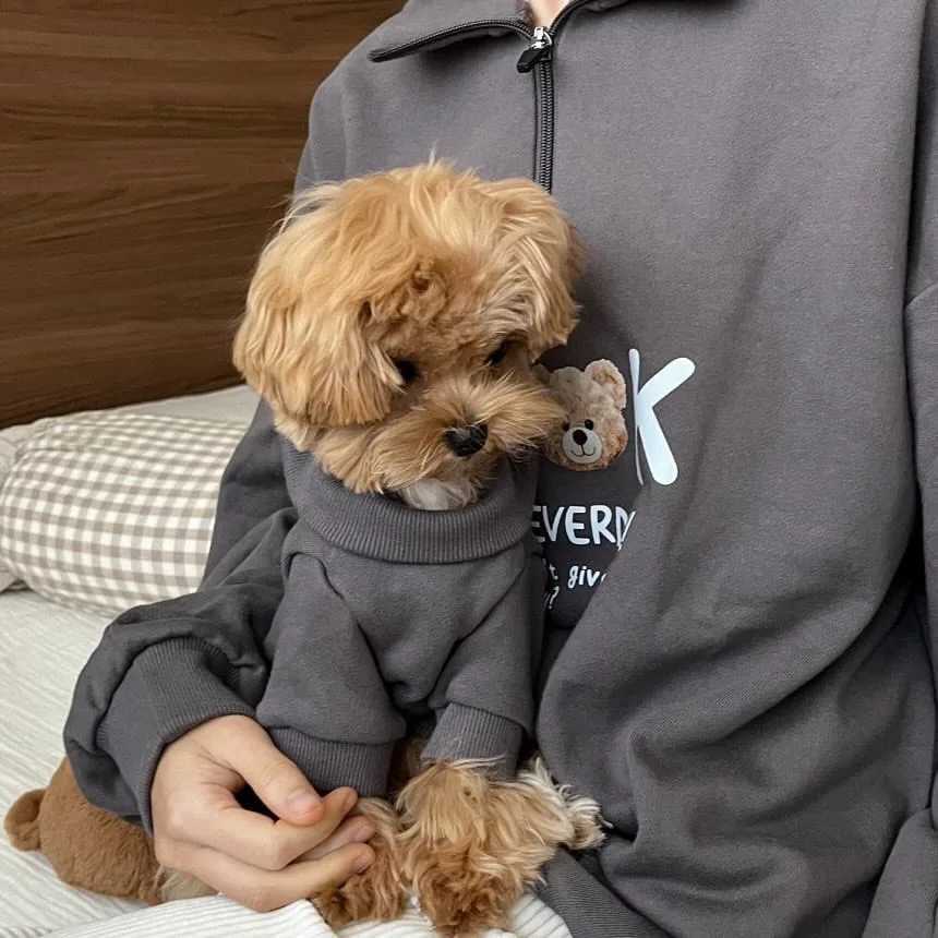 Pet Dog Warm Clothing Teddy FleeceLined Sweatshirt Bichon FallWinter Pullover Schnauzer Cartoon Print TwoLegged Clothes C251030