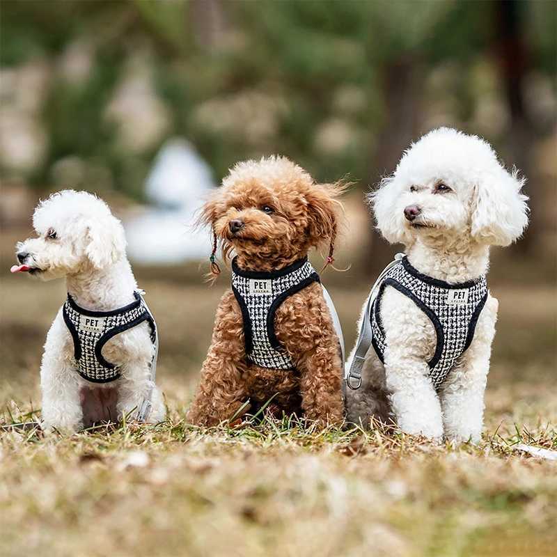 Dog Harness and Leash Breathable Soft Cat Harnesses Vest Lead For Small Medium Dogs Cats Dog Cat Accessories Pet Supplies J251129
