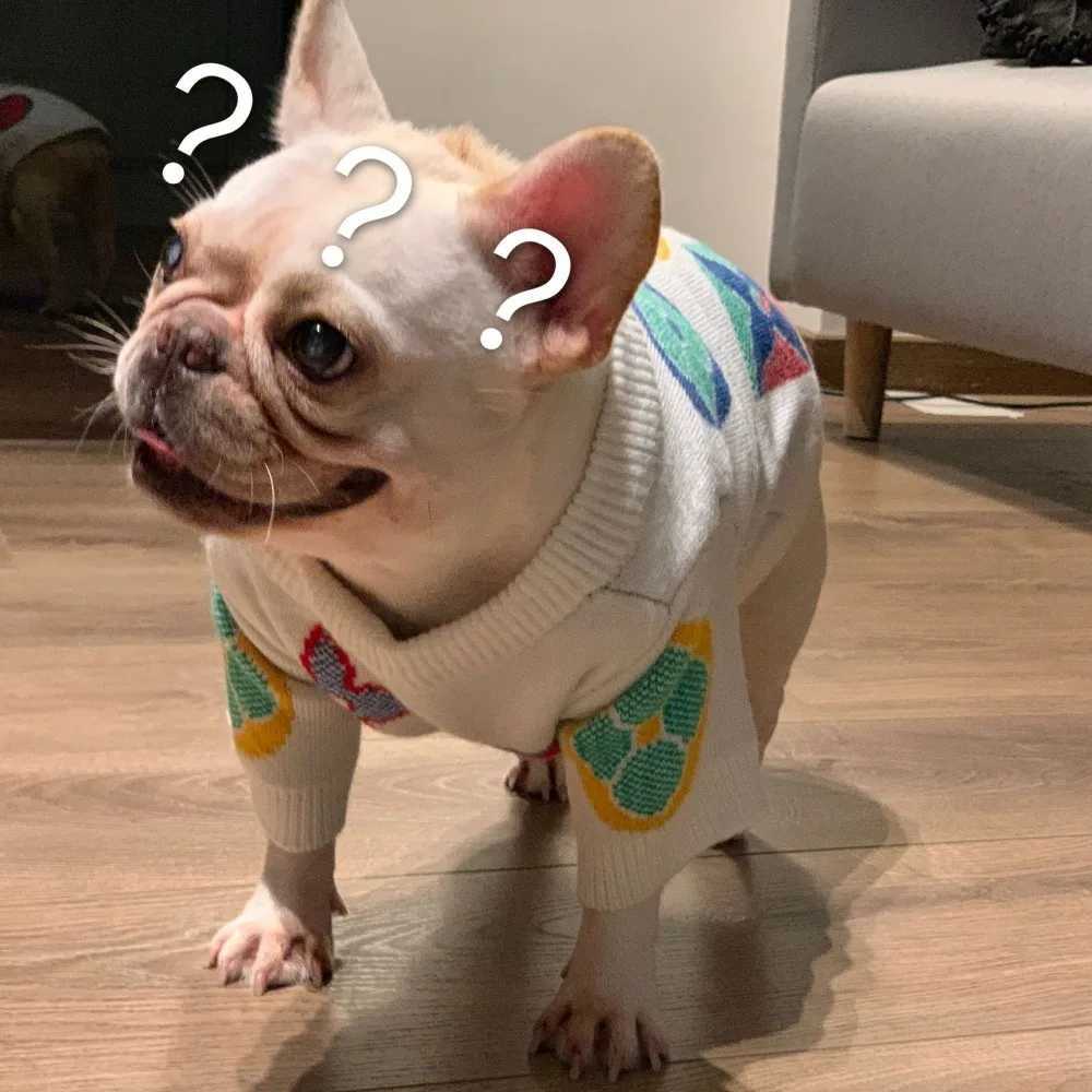 Clothes For Small Dogs Designer Luxury Dog Clothes Winter french Bulldog Teddy Dog Clothes For Medium Dogs C251030