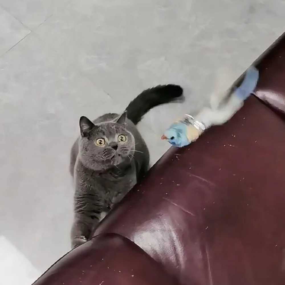 2pcs Replacement Head for Cat Teaser Funny Cat Stick Toy Rod Feather Bird Pet Toy Supplies S251029