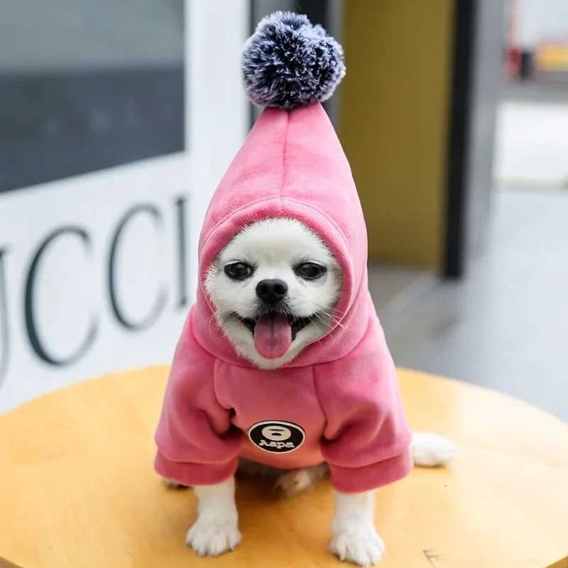Autumn and Winter Hooded Dog Hoodie New Gold Velvet Thickened Warm Pet Cat Fighting Clothes Pet Accessories C251030