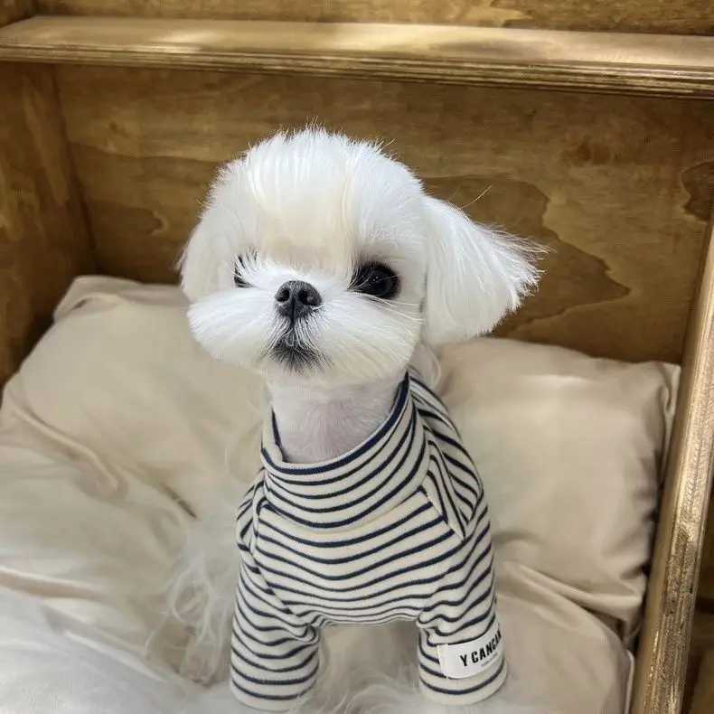Pet Autumn and Winter Striped High Neck Base Shirt Cat with Plush Warm Tshirt Teddy Sweatshirt Dog Clothes for Small Dogs C251030