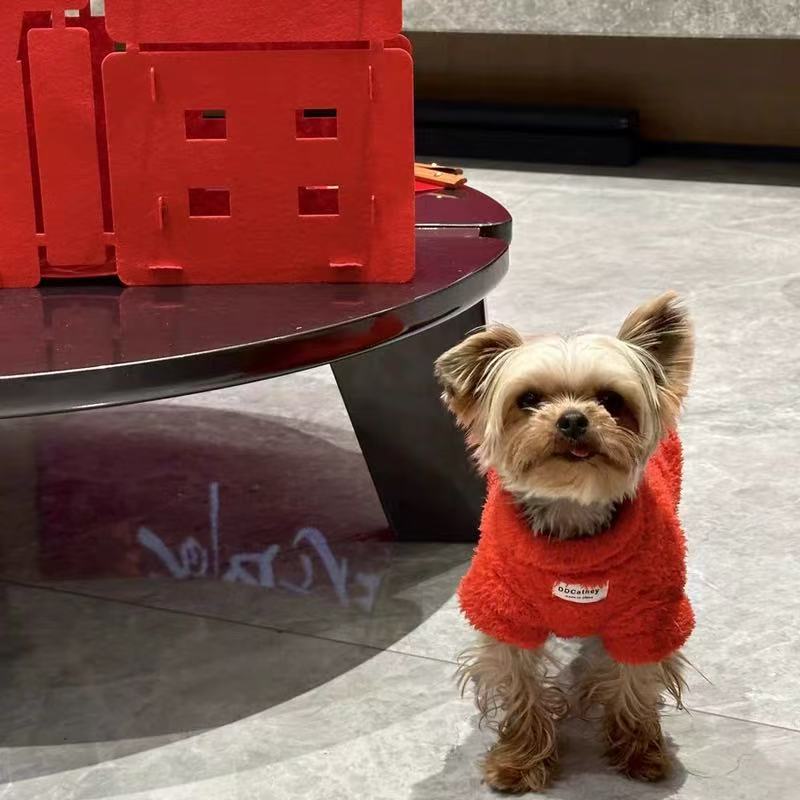 T1938 Yorkshire Terrier Clothing Autumn/Winter Extra Small Dog Maltese Winter Outfit Warm New Year Red Small Dog