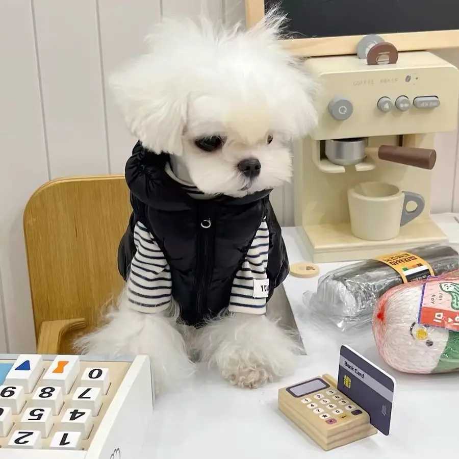 Pet Autumn and Winter Striped High Neck Base Shirt Cat with Plush Warm Tshirt Teddy Sweatshirt Dog Clothes for Small Dogs C251030