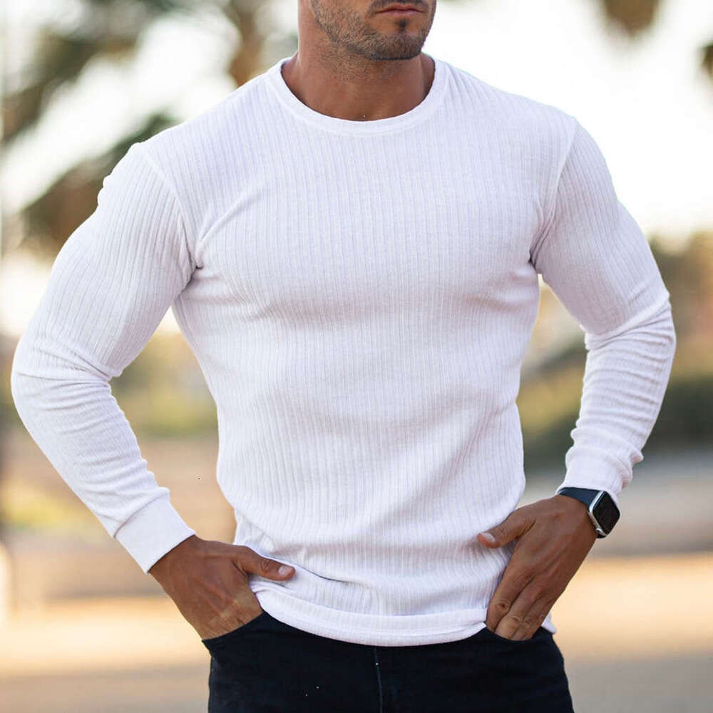 Men's Autumn Sports Fitness Casual Stand Collar Stretch Vertical Stripe Round Neck Long Sleeve T-Shirt